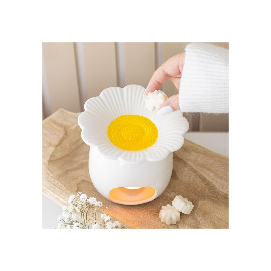 Boho oil burners, wax melt burners and electric aroma burners